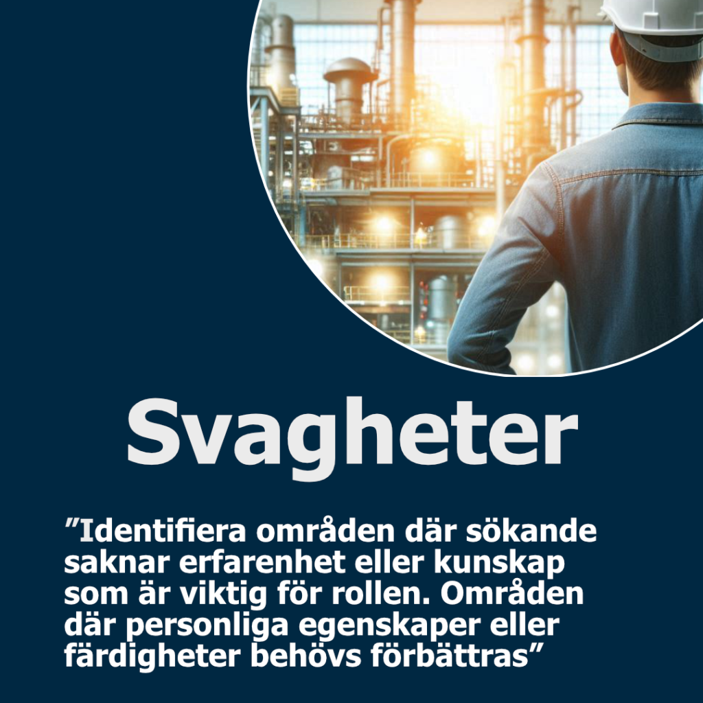 SWOT för Rekrytering Karusell_5
